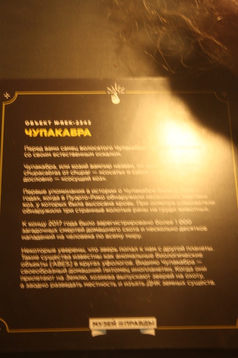 Петербург. Музей НЕправды (18+). Часть 1