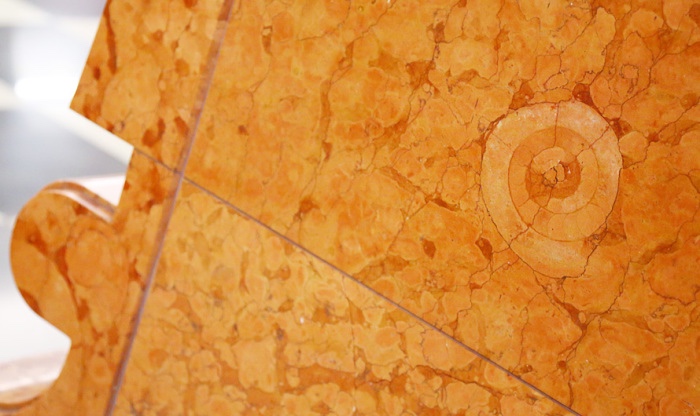 Звероящер и узоры времён динозавров в Московском метро