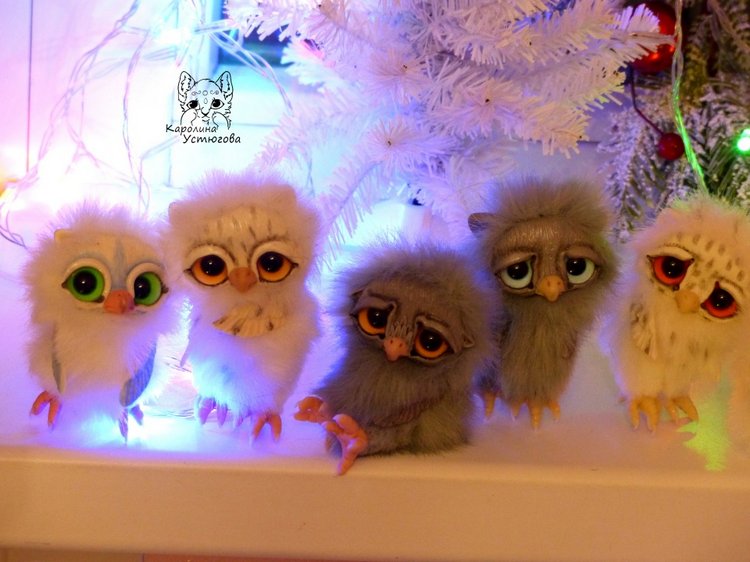 Совята в ожидании Новогодних праздников