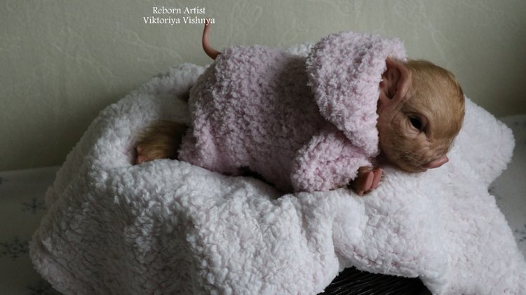 Поросенок Мила... куколка реборн Виктории Вишни