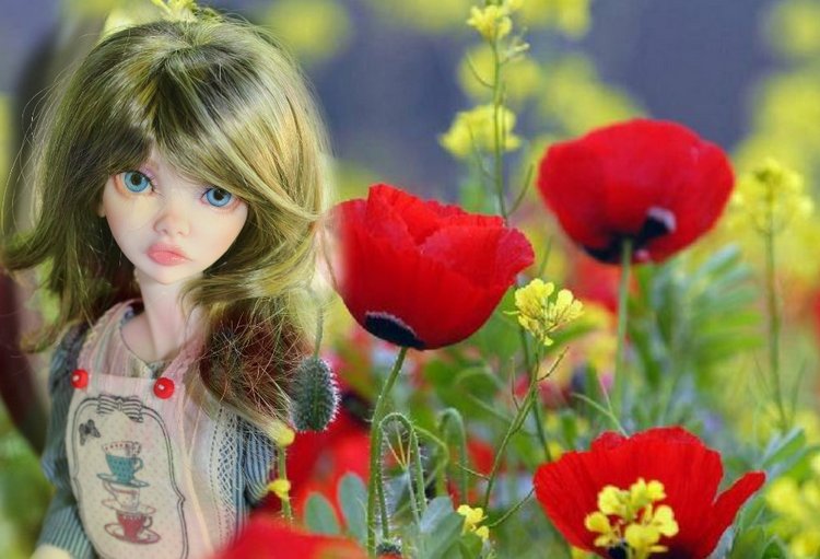 Красота в глазах смотрящего! Фантазии с Алисой 2