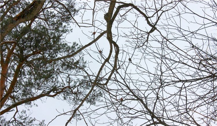 Путешествие в первый день Весны