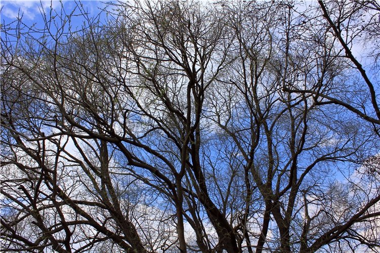 Савватьева Пустынь, Тверская область