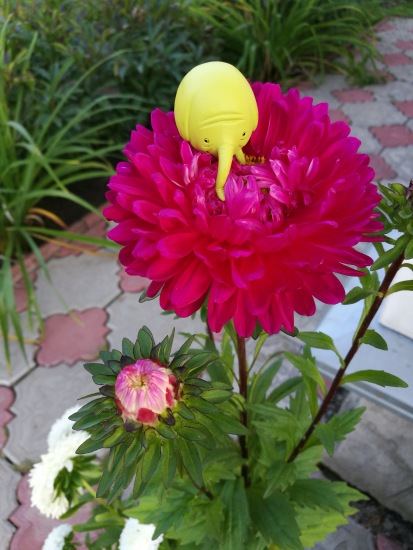 Любимые фигурки — Интересные игрушки и фигурки (разное): редкие