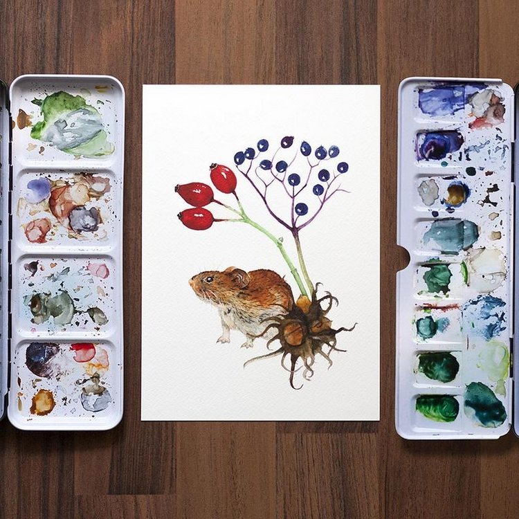 SnailMaidenStudio - Акварельные иллюстрации маленьких живых существ