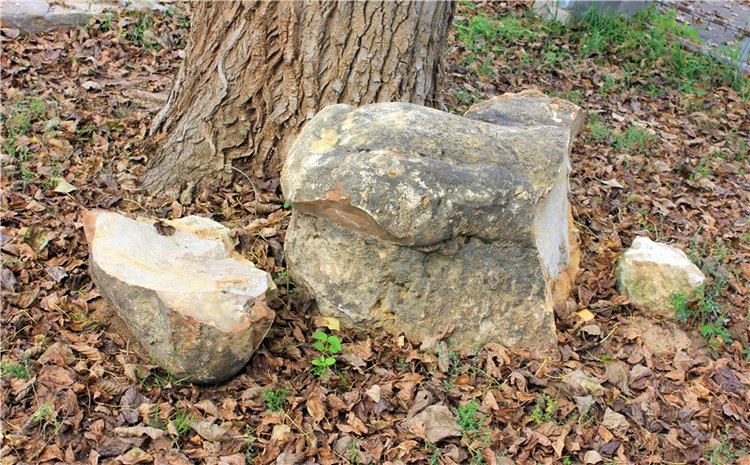 Сентябрьское путешествие в Старицу, заключительная часть