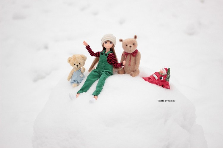 Новогодние каникулы в деревне