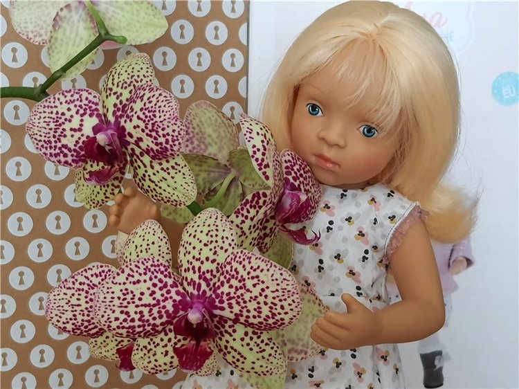 Ava. Petitcollin Minouche Ava