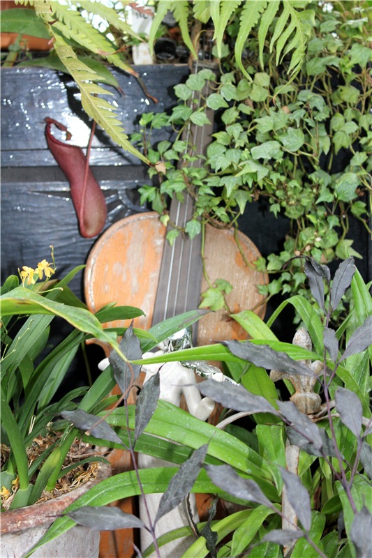 Тверской Ботанический Сад, продолжение | Бэйбики Тверской Ботанический Сад, продолжение