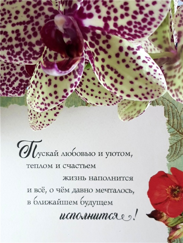 Скоро 8 Марта — Куклы Meadow dolls (Медовушки): BJD (БЖД)