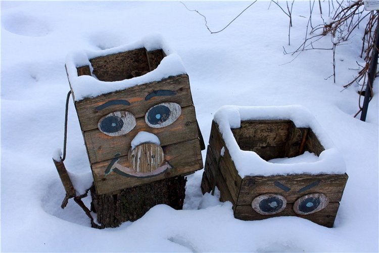 Тверской Ботанический Сад, заключительная часть