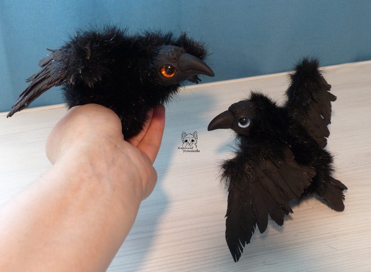 Сидела и считала.. Ворон раз, ворон два (фото 2)