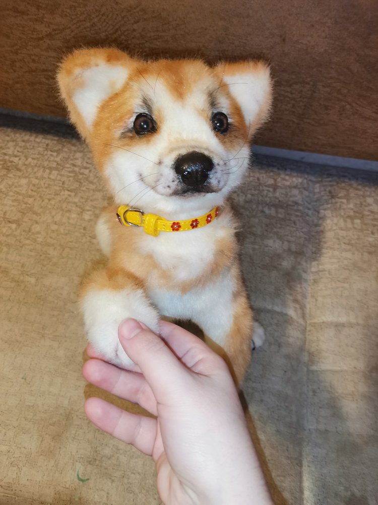 Акито щенок — Игрушки в смешанной технике (мех и глина): Арт (фото 10)