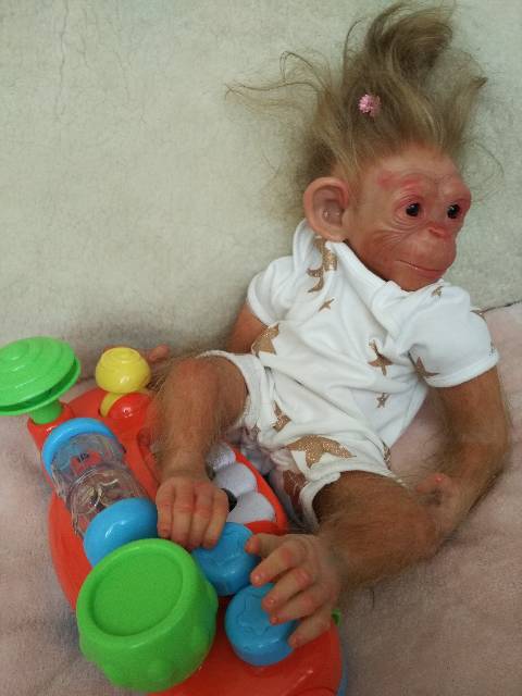 Бонька-обезьянка реборн Рязановой Елены (фото 4)