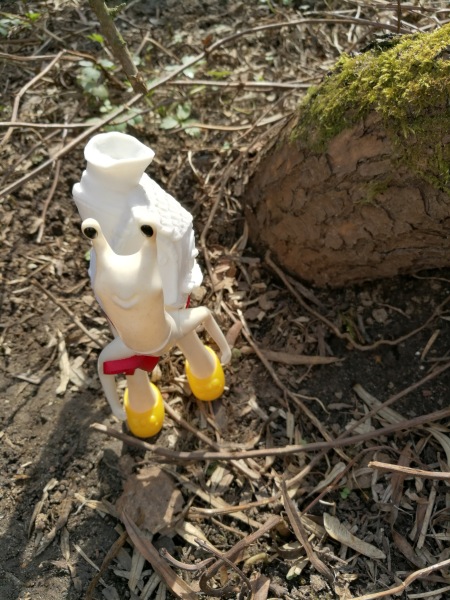 Добро пожаловать в удивительный мир Ванды