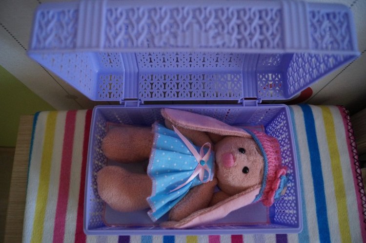 Как Агаша зайку шила — Другие хобби и увлечения: сад