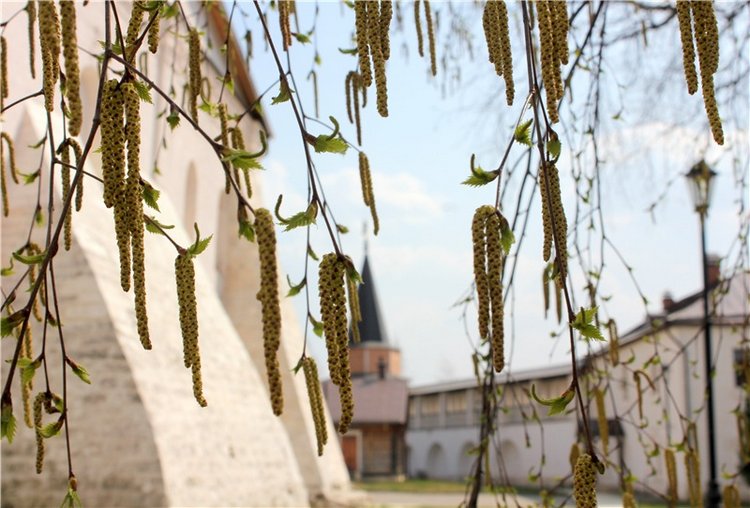 Пасхальные выходные с Джиджи. BJD Gigi от Meadow Dolls