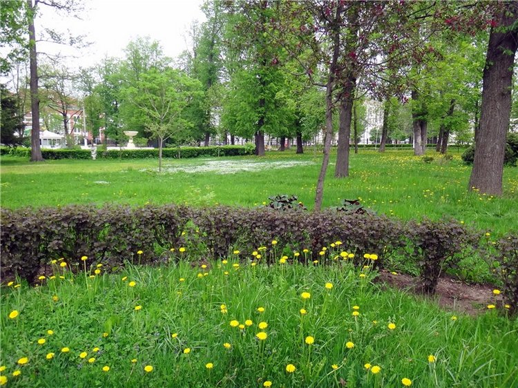 Милый мой город. Прогулка по Твери, заключительная часть