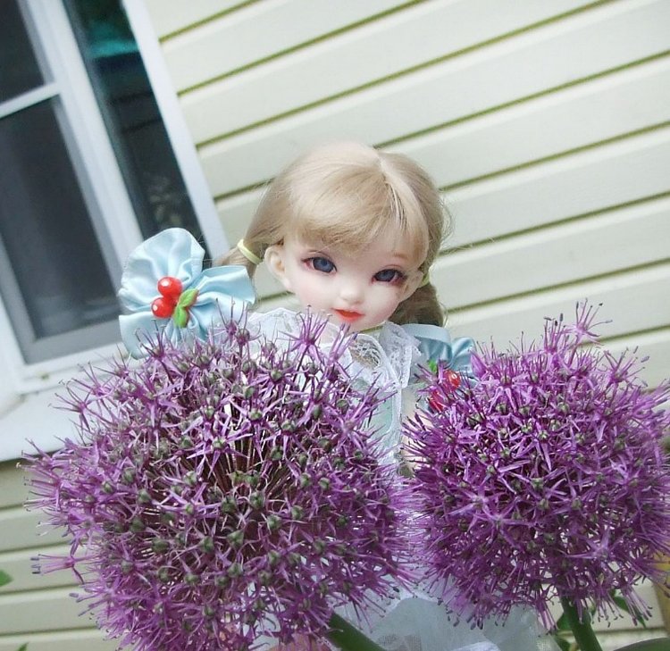 После дождичка в саду) — Красивая природа и цветы: фото пейзажей (фото 2)