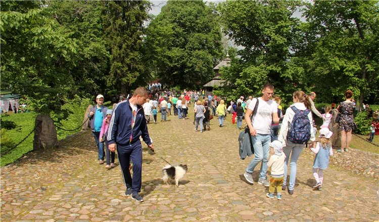 "Троицкие гуляния" в Василёво, 2017 год, продолжение. Архитектурно-этнографический музей под открытым небом "Василёво"