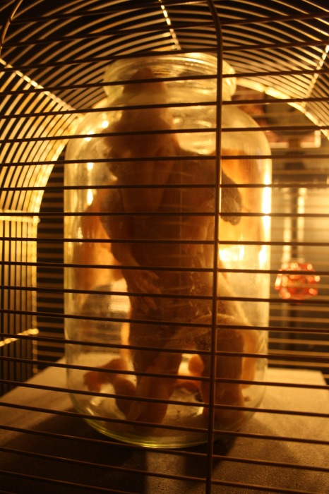 Петербург. Музей НЕправды (18+). Часть 1