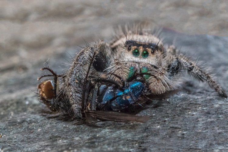 Любителям природы - профессиональные фотографии (выпуск 4)