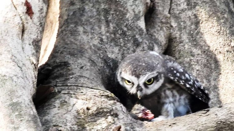 Любителям природы - профессиональные фотографии (выпуск 4)