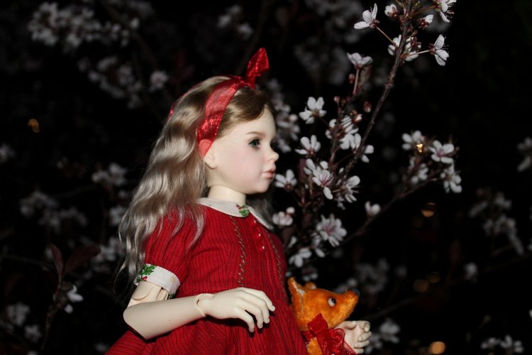 Розочка в вечернем саду — Куклы Dollshe Craft (Доллше): BJD (БЖД) (фото 3)