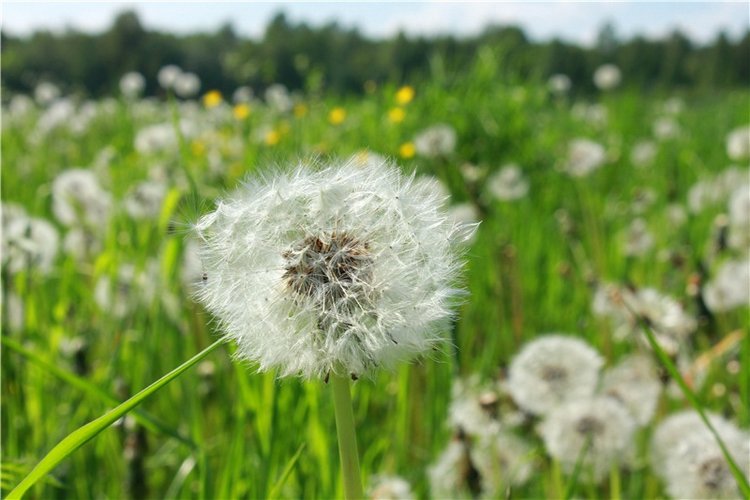 Из Чукавино в Старицу — Культура (фото 6)