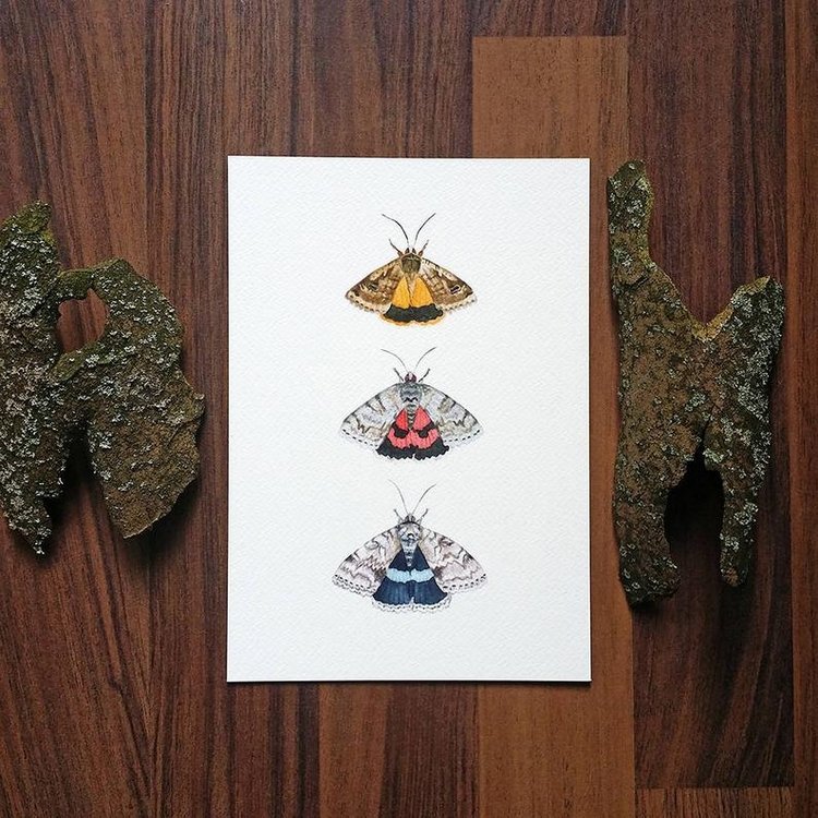 SnailMaidenStudio - Акварельные иллюстрации маленьких живых существ