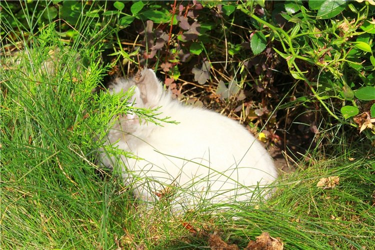 Сентябрьское путешествие в Старицу. Старицкий Свято-Успенский Монастырь