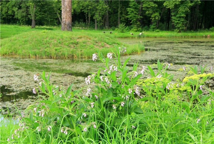 Путешествие Виолы в Усадьбу Знаменское-Раёк