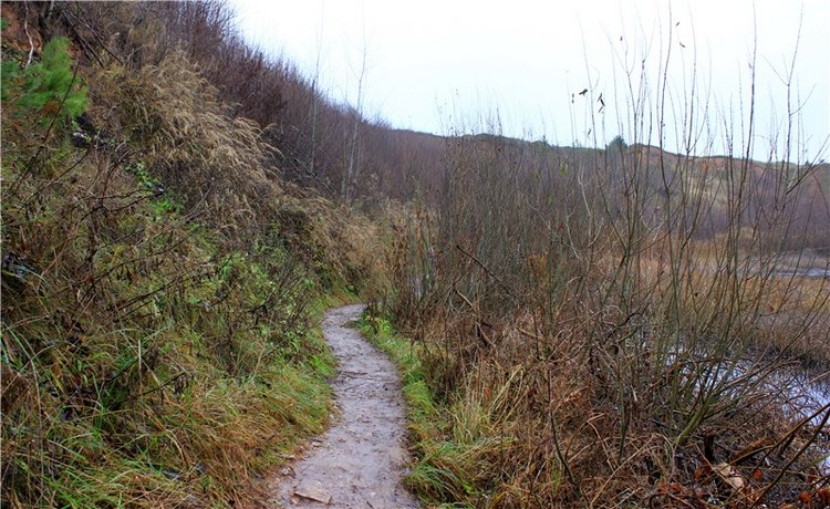 Туманный Ноябрь | Бэйбики Туманный Ноябрь — Куклы Latidoll (Лати): BJD (БЖД) (фото 2)