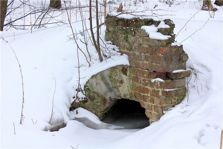 Тверской Ботанический Сад, заключительная часть