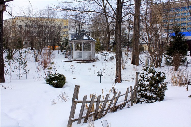 Тверской Ботанический Сад, заключительная часть