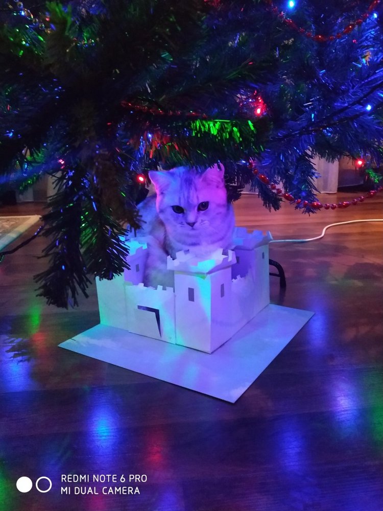 Гостей с такими подарками надо гнать поганой метлой! Или не надо (фото 6)