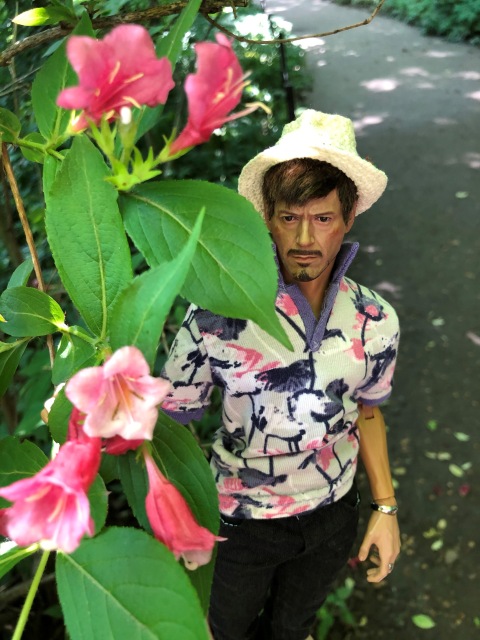 Тони Старк: приключения без брони. И снова Аптекарский огород | Бэйбики Тони Старк: приключения без брони. И снова Аптекарский огород