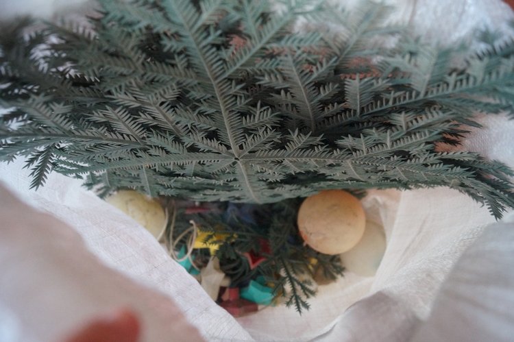 Откроем коробки из детского сада