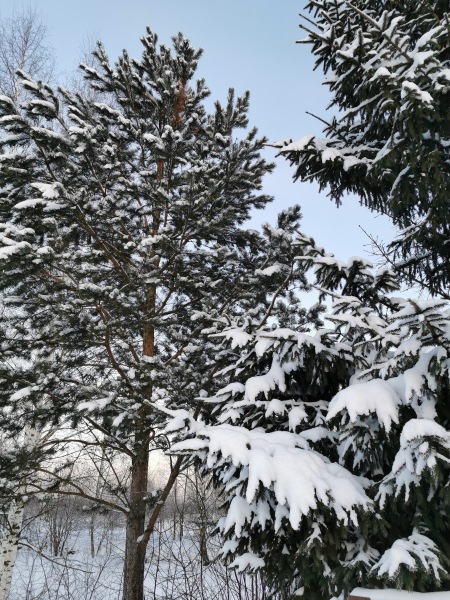 На позитиве — Интересные игрушки и фигурки (разное): редкие