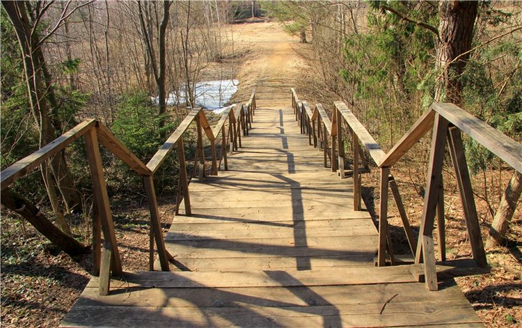 Апрельский день в Василёво, заключительная часть (фото 3)