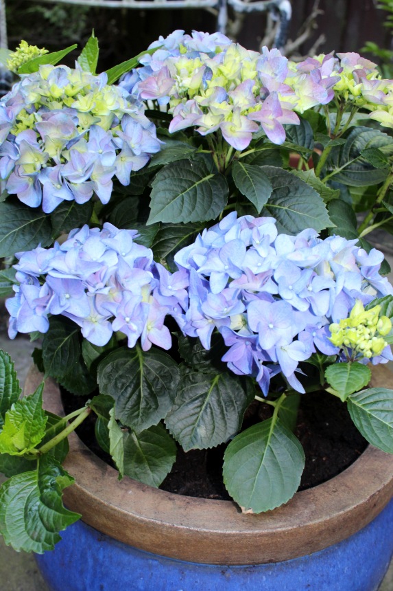 Sonja гуляет в саду. Коллекционная кукла от Helen Kish