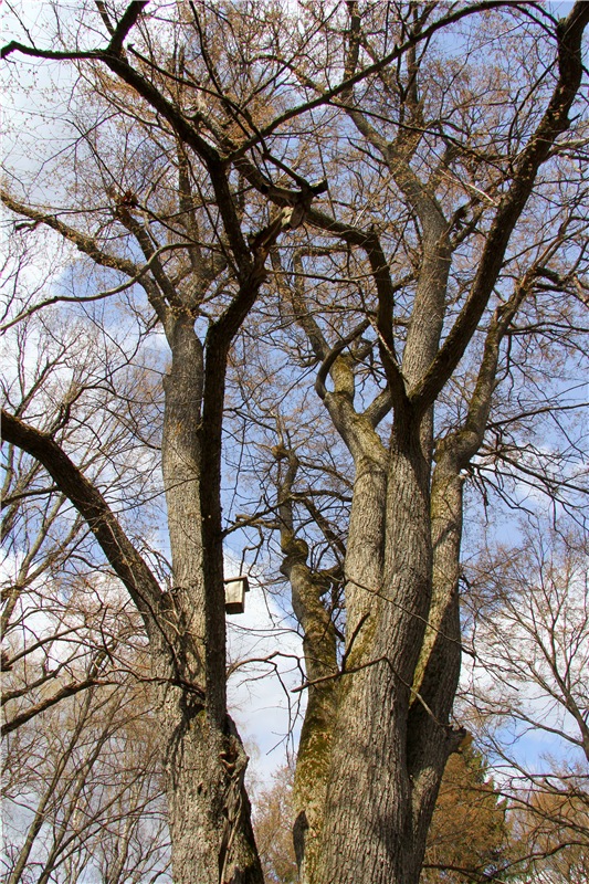 Усадьба Чукавино, Тверская область