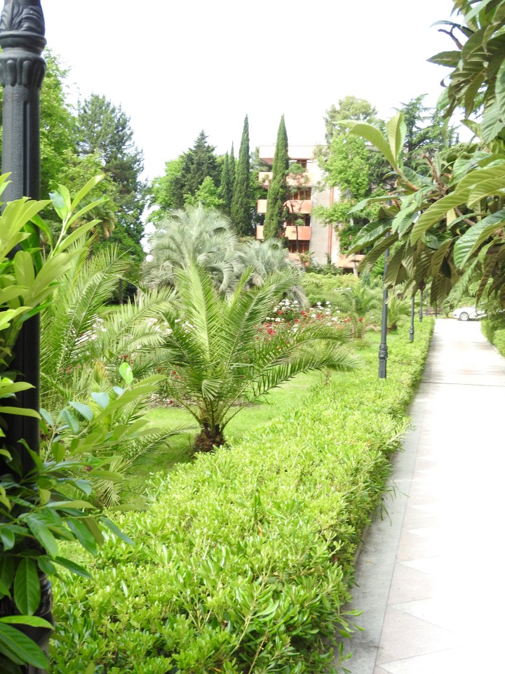 Краснодарский Край, Сочи-Адлер, Санаторий «Южное Взморье» (фото 7)