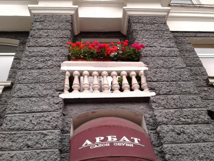 Последний месяц лета. Мой Псков. Аурика