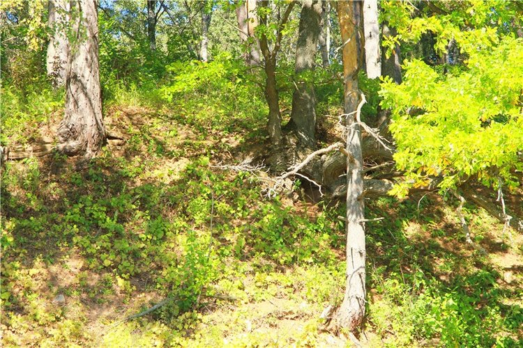 Старицкая Швейцария. Старицкие пещеры, д. Толпино, заключительная часть