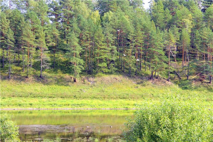 Старицкая Швейцария. Путешествие с Сашей, продолжение. Уникальная кукла от Сильвии Наттерер