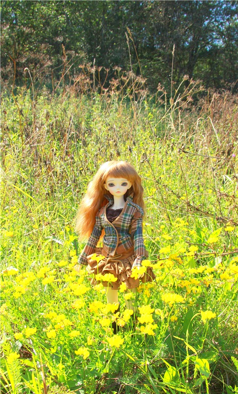 Старицкая Швейцария. Путешествие Мии. Minifee Miyu FairlyLand | Бэйбики Старицкая Швейцария. Путешествие Мии. Minifee Miyu FairlyLand