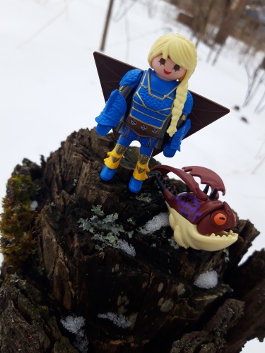 Playmobile: How To Train Your Dragon | Бэйбики Playmobile: How To Train Your Dragon (фото 2)