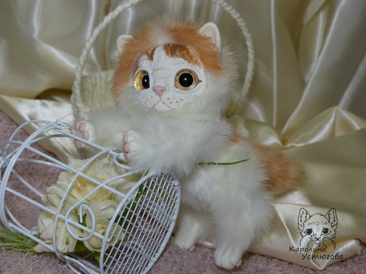 Обыкновенный котенок и его день (фото 6)