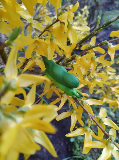 Что такое гасяпон — Домашние фото авторских игрушек: Тедди